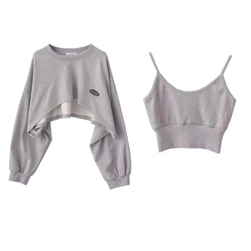 maoxiangshopWomen's Short Thin Sweatshirt Long Sleeve Crew Neck Casual Top Blouse Daily Casual Two-piece Simple Style Wholesale