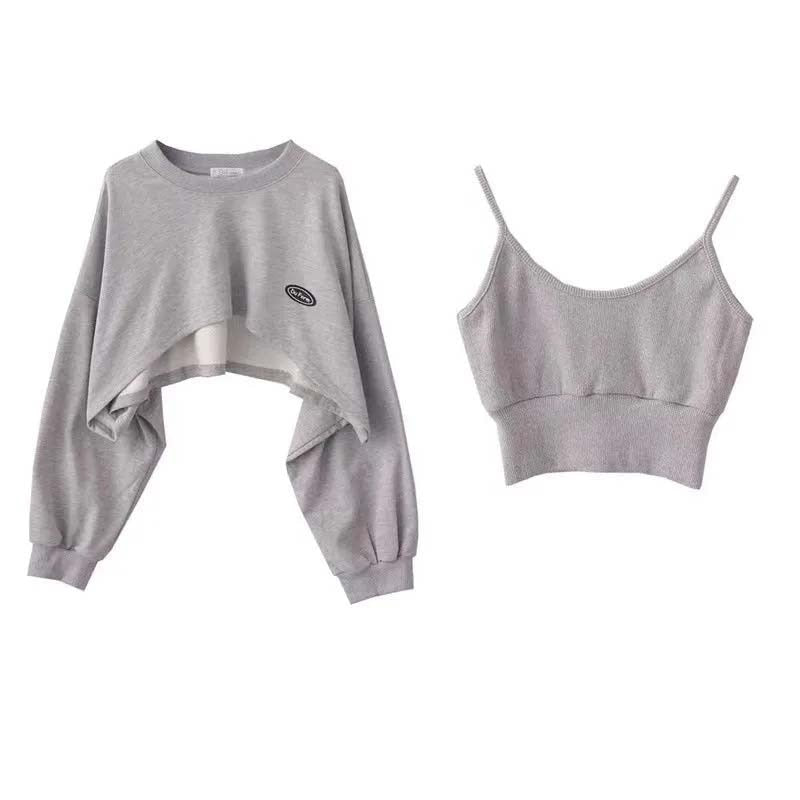 maoxiangshopWomen's Short Thin Sweatshirt Long Sleeve Crew Neck Casual Top Blouse Daily Casual Two-piece Simple Style Wholesale