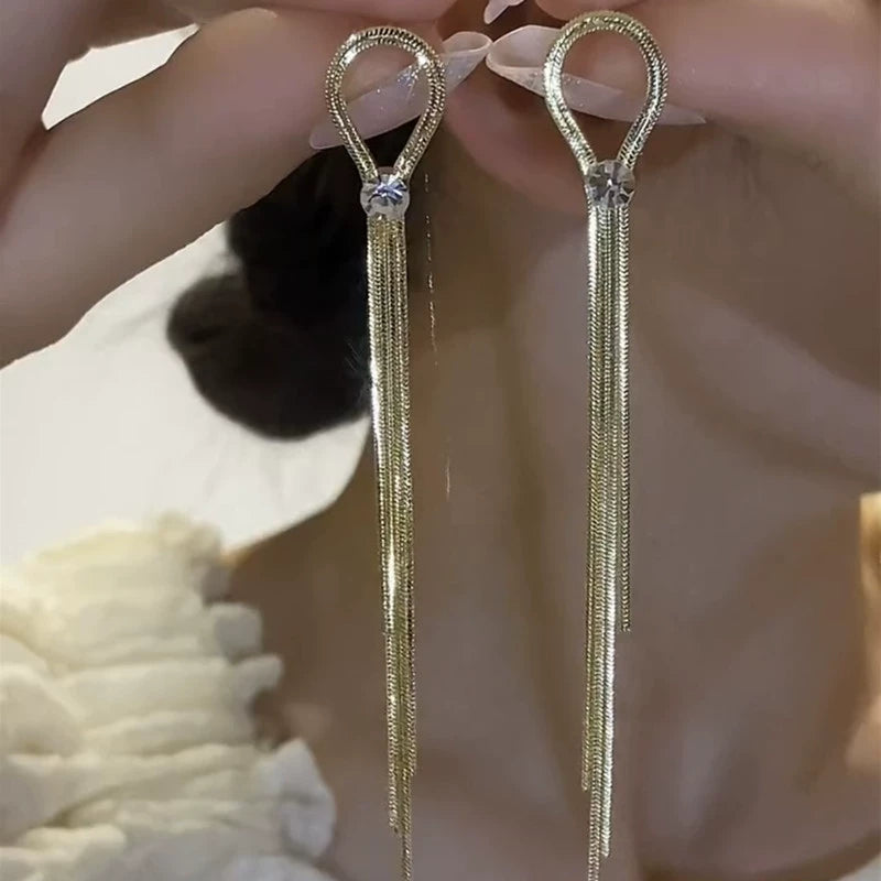 Long water drop fringed earrings female super fairy Internet celebrity temperament earrings 2025 new trendy silver needle face thin earrings