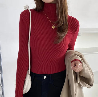 maoxiangshop Women Fall Turtleneck Sweater Knitted Soft Pullovers Cashmere Jumpers Basic Soft Sweaters For Women Autumn Winter