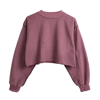 Thick Cotton Oversized Women Sweatshirt Hoodies Casual Loose Long Sleeve Harajuku Streetwear Crop Pullover Plus Size M30375