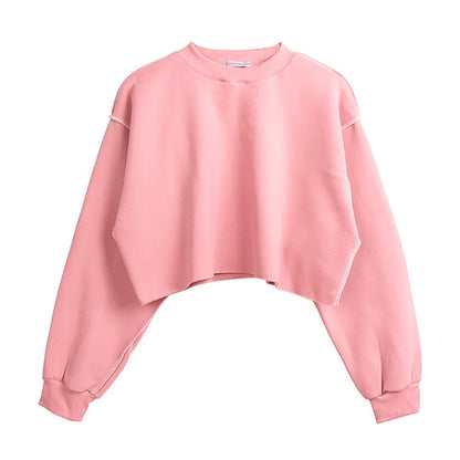 Thick Cotton Oversized Women Sweatshirt Hoodies Casual Loose Long Sleeve Harajuku Streetwear Crop Pullover Plus Size M30375